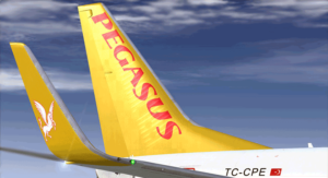 Pegasus Hava Yolları Nasıl?